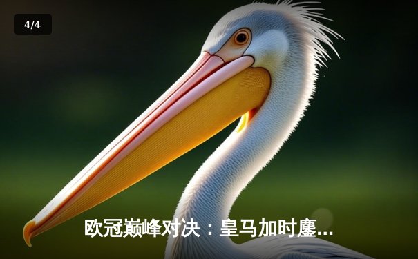 欧冠巅峰对决：皇马加时鏖战3-2逆转拜仁，贝林厄姆绝杀定乾坤 - 4